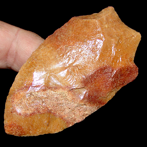 Tri Color Wacissa
