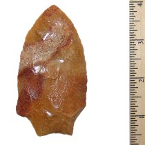 Tri Color Wacissa