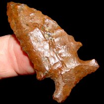 Brownie Big Sandy