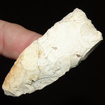 White Clovis