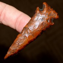 Long Orange Bolen