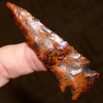 Long Orange Bolen