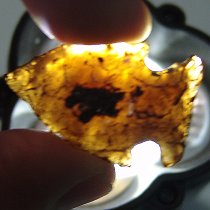 Honey Gemstone Bolen