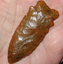 Savory Boggy Branch Type 2