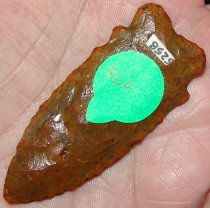 Savory Boggy Branch Type 2