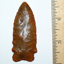Savory Boggy Branch Type 2