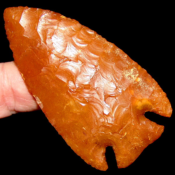 Tangerine Lost Lake