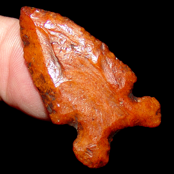 Rare Cowhorn Bolen SOLD