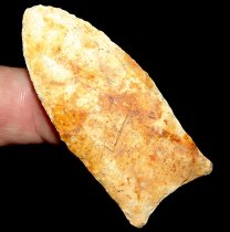 Clay Stained Clovis