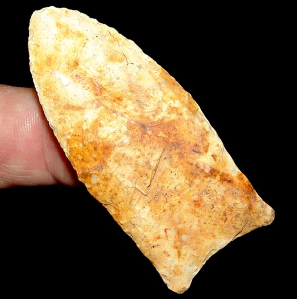 Clay Stained Clovis