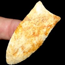 Clay Stained Clovis