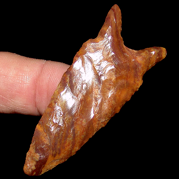 Petrified Wood Chipola - SOLD YOU JUST MISSED IT!