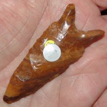 Petrified Wood Chipola - SOLD YOU JUST MISSED IT!