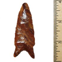 Petrified Wood Chipola - SOLD YOU JUST MISSED IT!