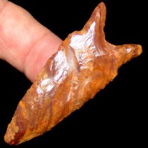 Petrified Wood Chipola - SOLD YOU JUST MISSED IT!