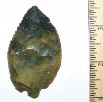 Green Coral Waller Knife