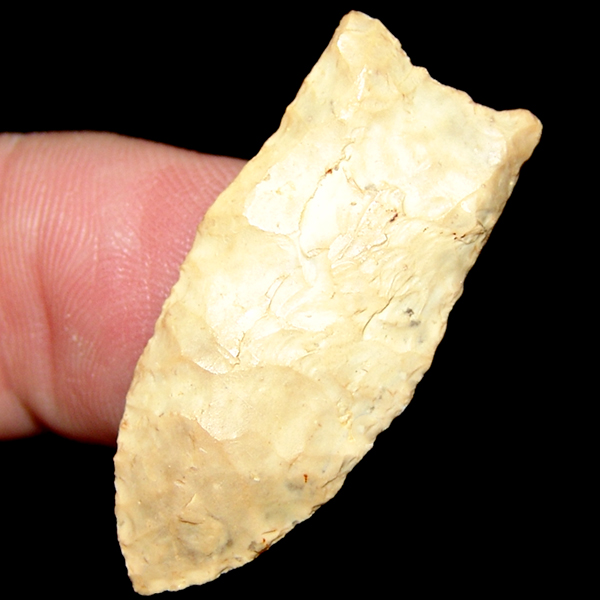 "Baby" Fluted Clovis