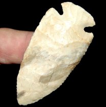 Ivory Bolen Plain