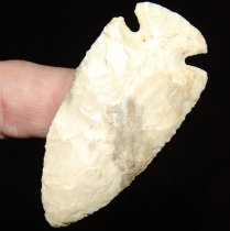 Ivory Bolen Plain