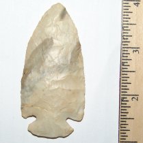 Ivory Bolen Plain