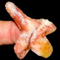 RARE! Coral Peg Newnan Drill