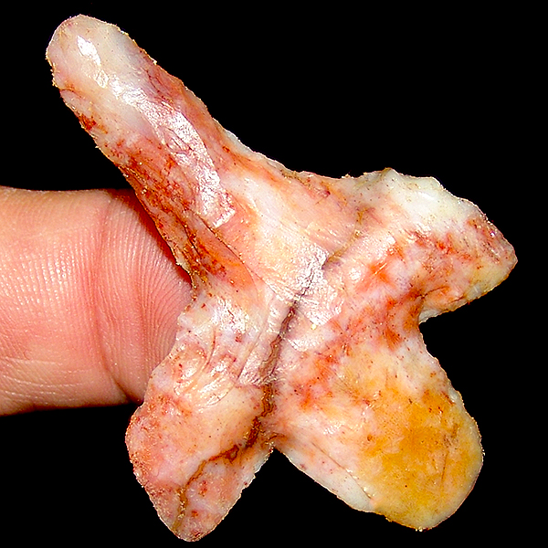 RARE! Coral Peg Newnan Drill