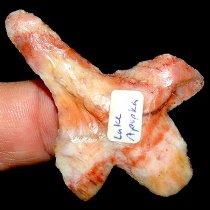 RARE! Coral Peg Newnan Drill