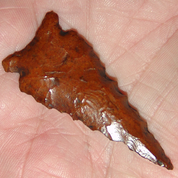 Beutell Ecusta Bolen