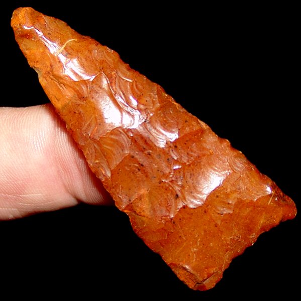Tangerine Dalton