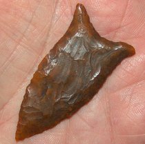 RARE FL Beaver Lake