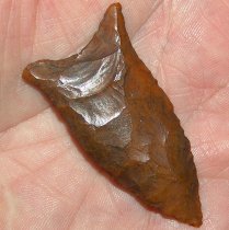 RARE FL Beaver Lake