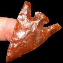 Long Ear Deep Notch Clay