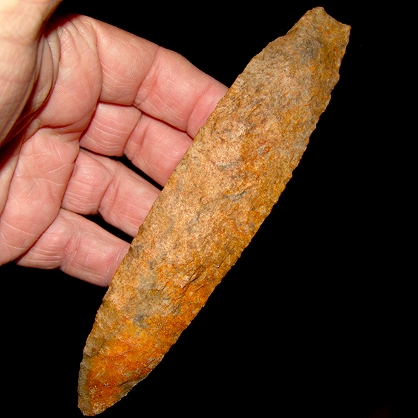 B.O.B. Thonotosassa