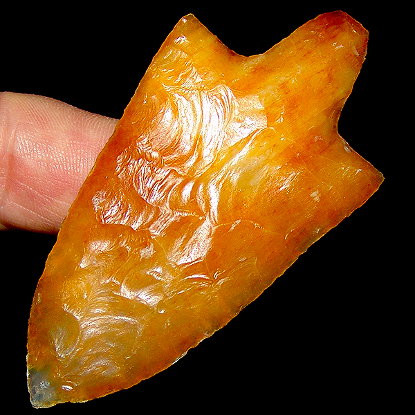 "Opalized" Tip Marion