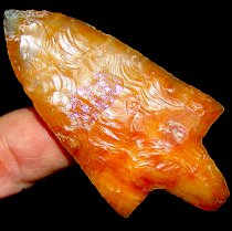 "Opalized" Tip Marion