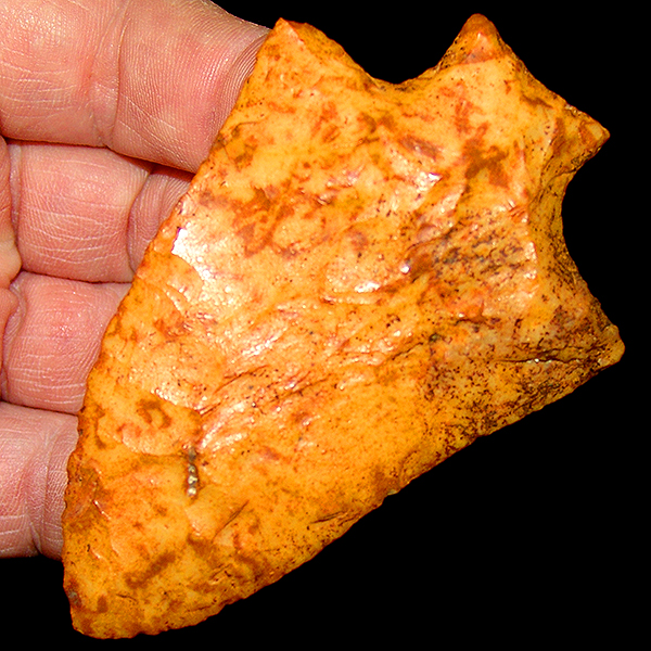 Wild Coral Wacissa