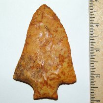 Wild Coral Wacissa
