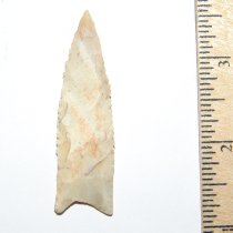 "Ivory" Tallahassee ON HOLD