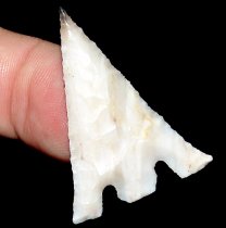 Black Tip Eiffel Hernando ON HOLD