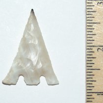 Black Tip Eiffel Hernando ON HOLD