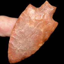 Lilac Levy Lilac Levy