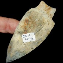 Pointy Savannah/Hamilton