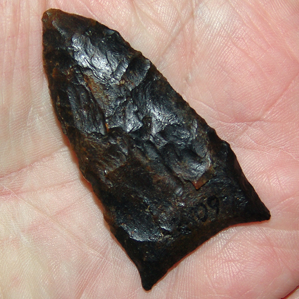 Black Suwannee Ex Waller