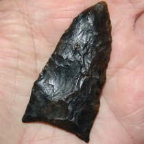 Black Suwannee Ex Waller