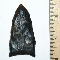 Black Suwannee Ex Waller