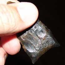 Black Suwannee Ex Waller