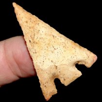 ″Triangle″ Hernando