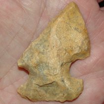 Lake Bird Edgefield SOLD