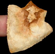 Choco Stem Notchaway