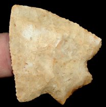 Choco Stem Notchaway